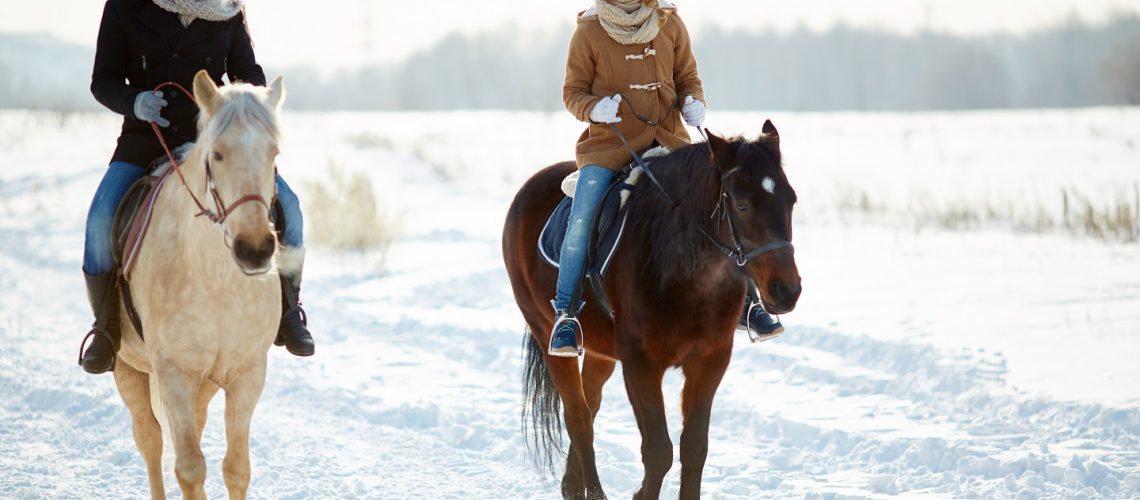 Happy couple in winterwear horse riding in natural environment