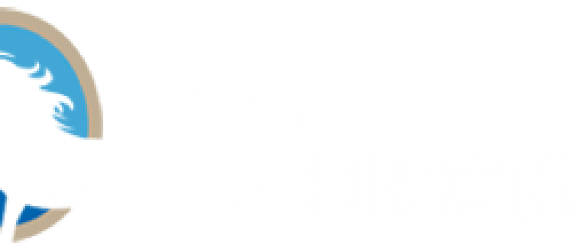 skagfirdingur-logo.png
